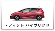 �t�B�b�g �n�C�u���b�h