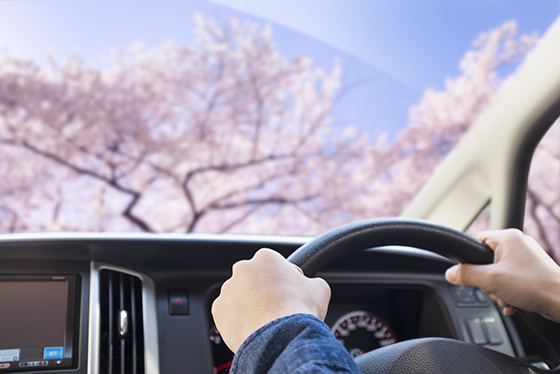 春の運転は要注意！「かもしれない運転」で交通事故防止