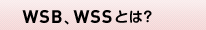 WSB�AWSS�Ƃ́H