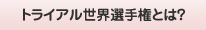 �g���C�A�����E�I�茠�Ƃ́H