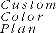 Custom Color Plan