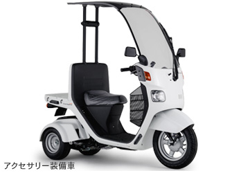 �W���C�� �L���m�s�[