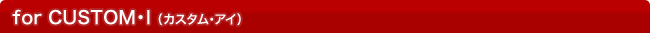for CUSTOM�EI�i�J�X�^���E�A�C�j
