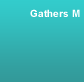 GathersM