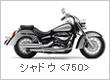 �V���h�E<750>