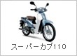 �X�[�p�[�J�u110