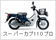 �X�[�p�[�J�u110PRO
