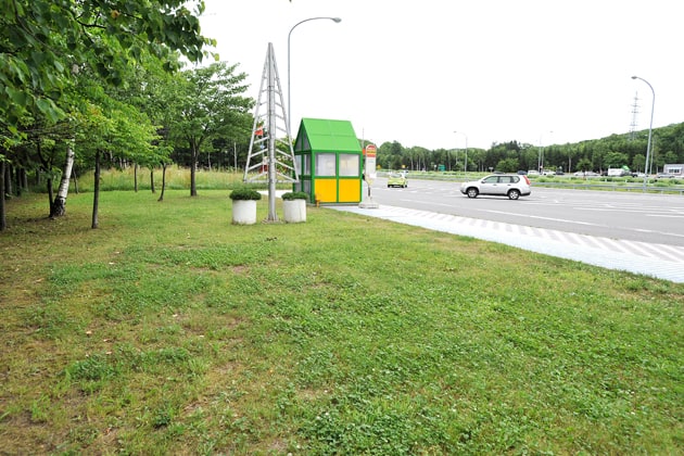 バス停近くの緑地も、わんことお散歩ができます。