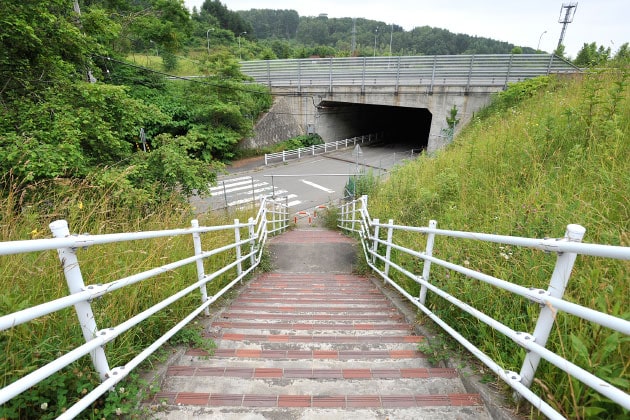 階段を下りて、トンネルをくぐると、展望公園方面に出ることができますよ。