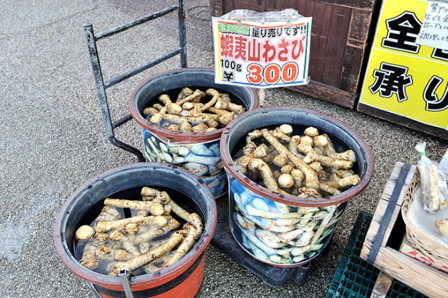 「蝦夷山わさび」。珍しい野菜もたくさんあります。