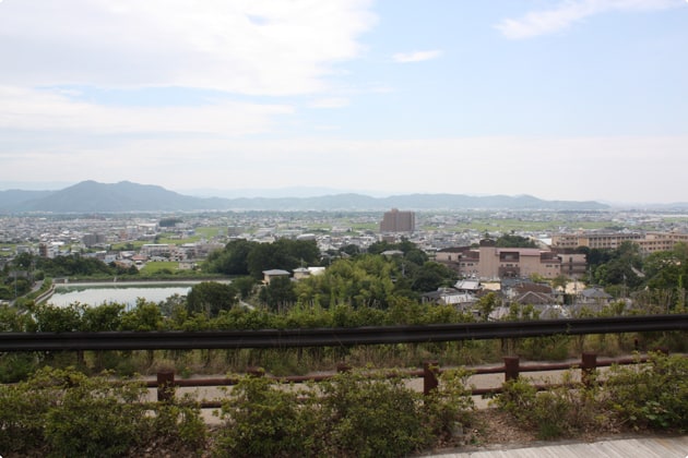 和歌山平野が一望できます。