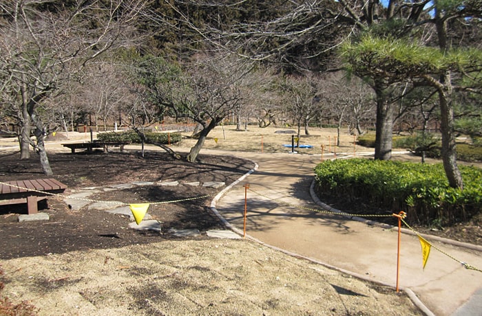 庭園内には、たくさんの樹木や、休憩ができるベンチが設置されていますよ。