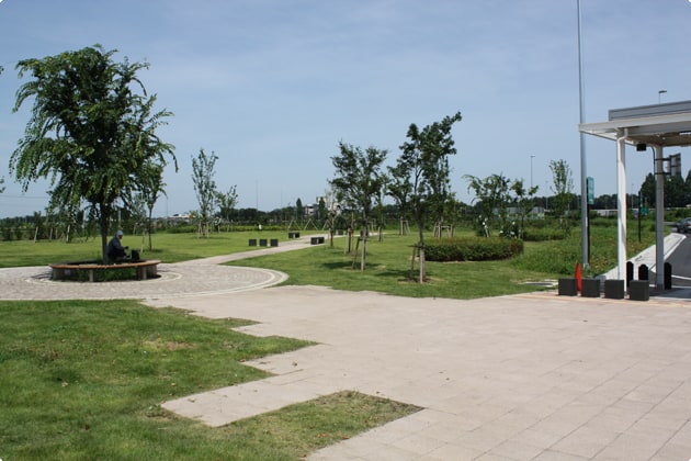 緑地には、遊歩道やベンチがあります。