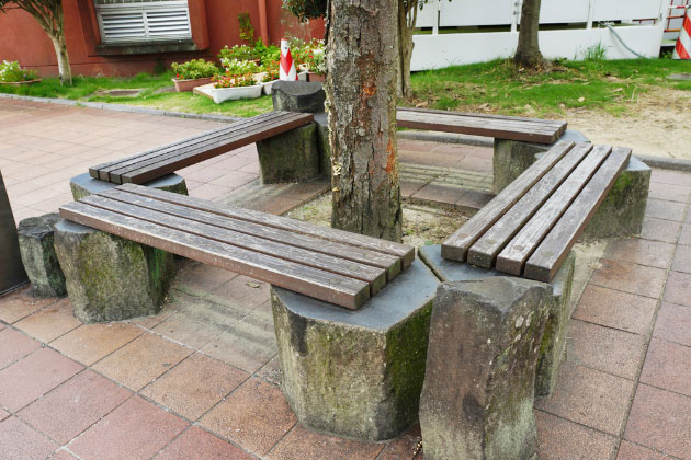 木の下に設置されたベンチ。