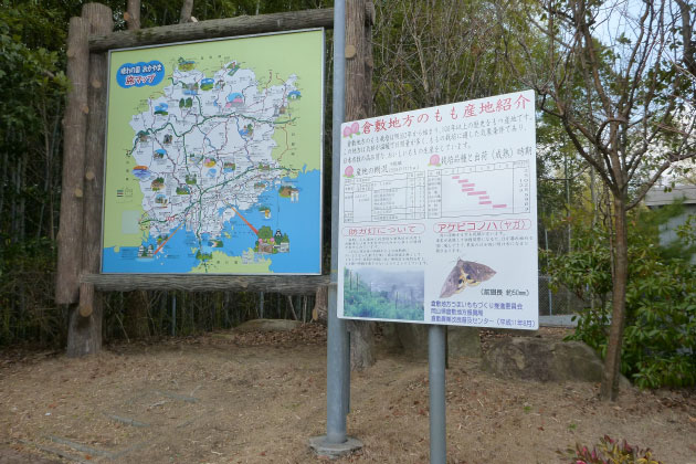 岡山の旅マップと、倉敷のもも産地紹介の看板。