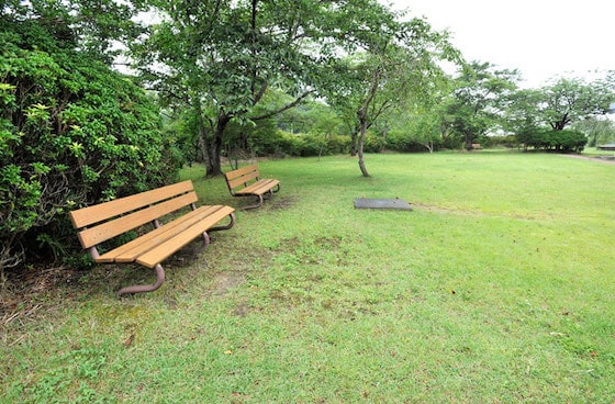 緑地内にもベンチが設置されています。
