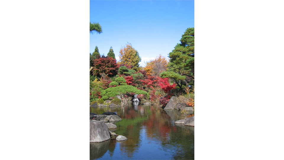 秋は紅葉がきれいな“日本庭園”。