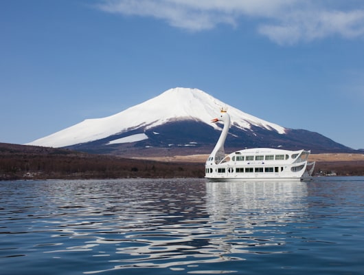湖上からわんこと一緒に大迫力の富士山を眺められる遊覧船
