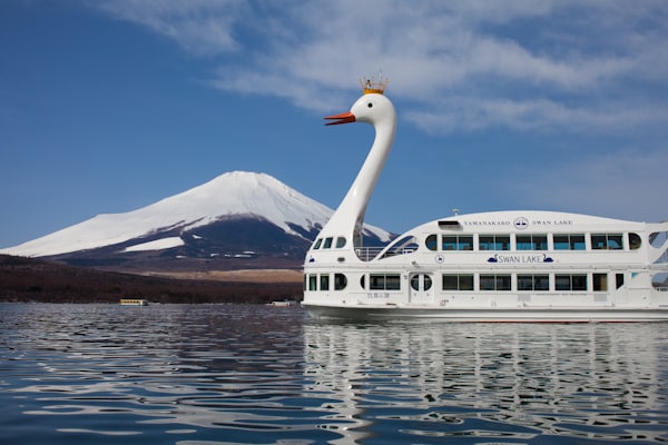 全長20.15m！日本一高い富士山と日本一大きな白鳥のツーショット。