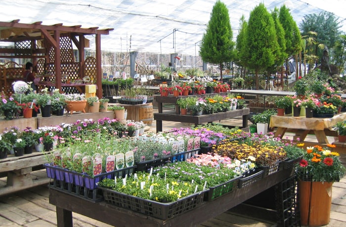 温室ハーブ園の「シーズ」は、ハーブやお花を楽しむだけでなく苗やグッズも販売されています！