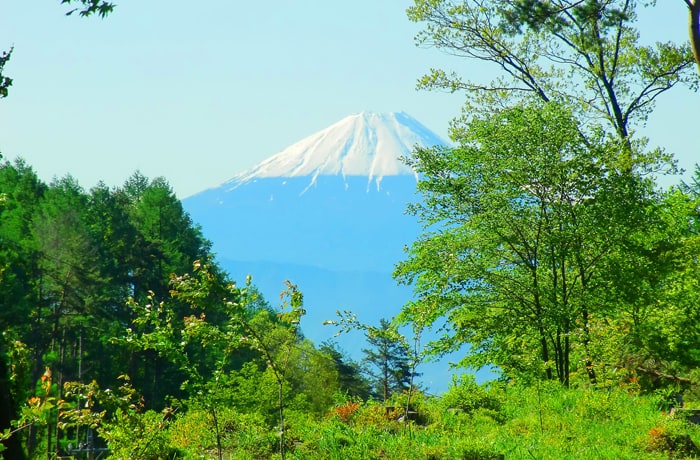 お天気の良い日は、富士山が見えることも。