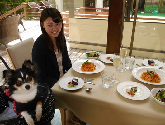 森に囲まれたレストランで、愛犬と一緒に優雅なランチを！（予約不要）シェフのスペシャルディナーコース（外来利用。完全予約制）も人気。