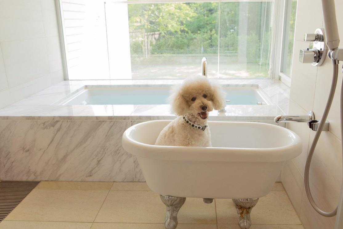 浴槽のすぐ隣には、愛犬用のバスタブ。一緒にお風呂が楽しめるようになっています。