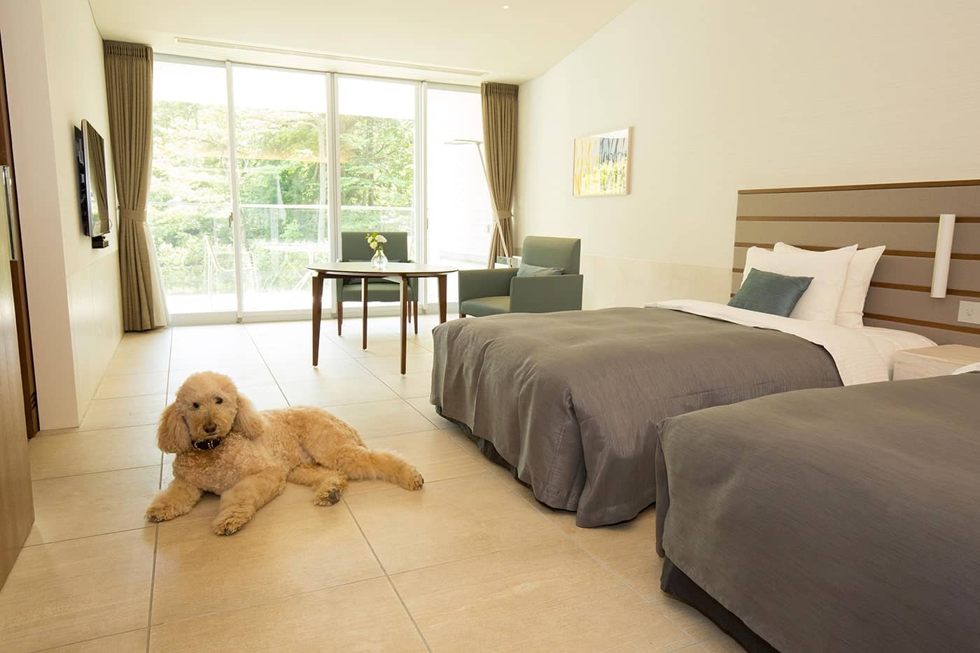 白を基調とした50平方メートルのデラックスツインルーム。客室の床は、愛犬が滑りにくい特殊タイル素材を使用。