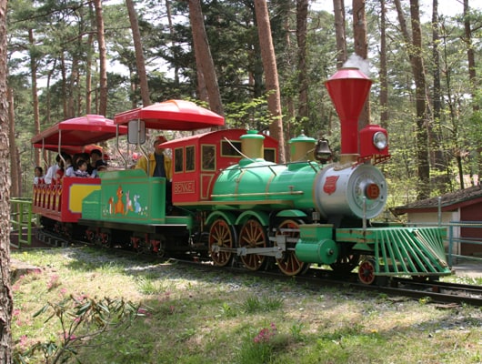 SL森林鉄道は、わんこを抱っこすれば乗車できます。（飼い主さんの責任でお願いします）