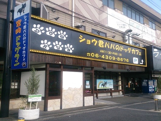 小型から大型のわんこまでのびのびできる東大阪市のドッグカフェ