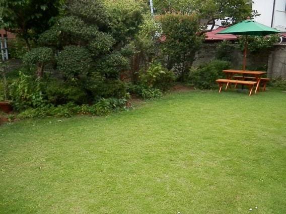 お庭は肉球に優しい芝生のミニ・ドッグラン