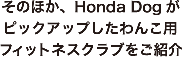 そのほか、Honda Dogがピックアップしたわんこ用フィットネスクラブをご紹介
