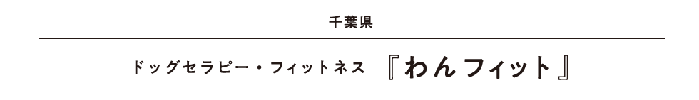 千葉県 ドッグセラピー・フィットネス『わんフィット』