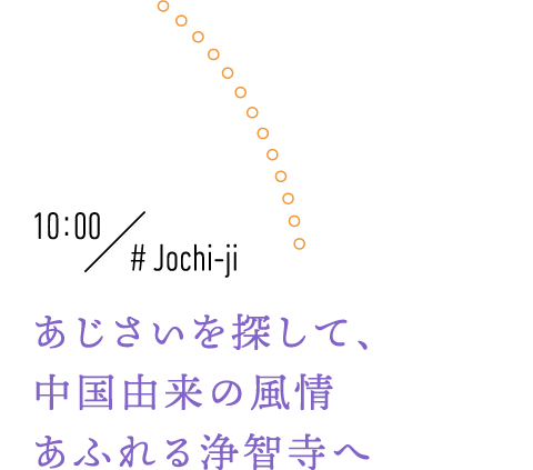 10:00 #Jochi-ji あじさいを探して、中国由来の風情あふれる浄智寺へ