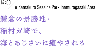 14:00 #Kamakura Seaside Park Inamuragasaki Area 鎌倉の景勝地・稲村ガ崎で、海とあじさいに癒やされる