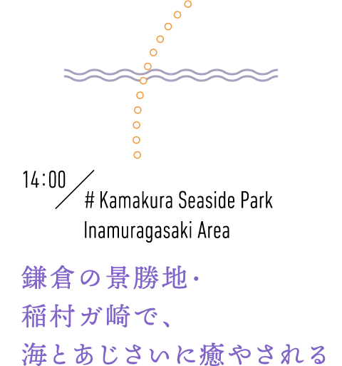 4:00 #Kamakura Seaside Park Inamuragasaki Area 鎌倉の景勝地・稲村ガ崎で、海とあじさいに癒やされる