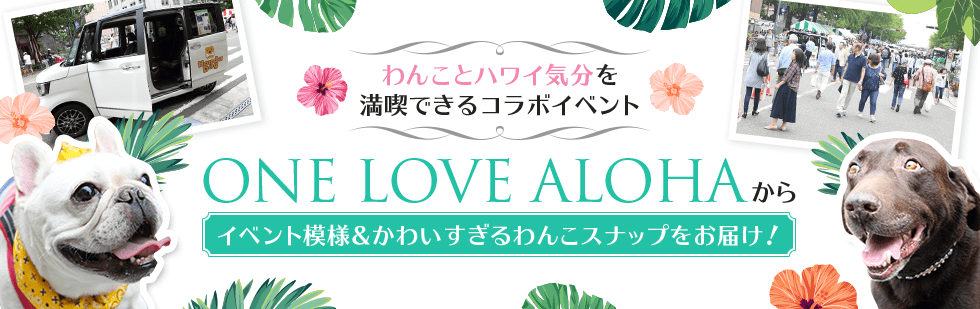 わんことハワイ気分を満喫できるコラボイベント ONE LOVE ALOHA からイベント模様&かわいすぎるわんこスナップをお届け！