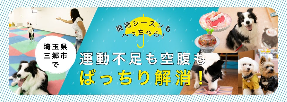 梅雨シーズンもへっちゃら！埼玉県三郷市で、運動不足も空腹もばっちり解消！