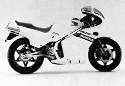 NS250R