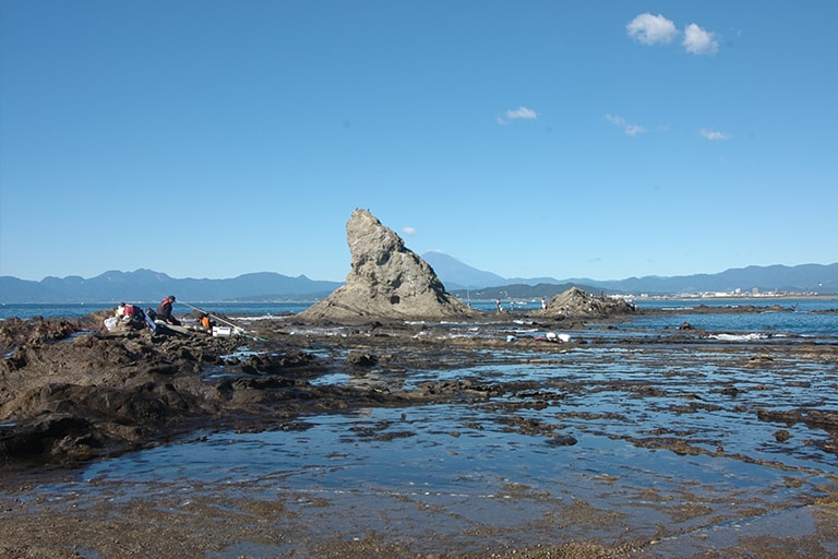 湘南のシンボル、エボシ岩。周囲には大小さまざまな磯が点在し、エボシ群礁といわれます