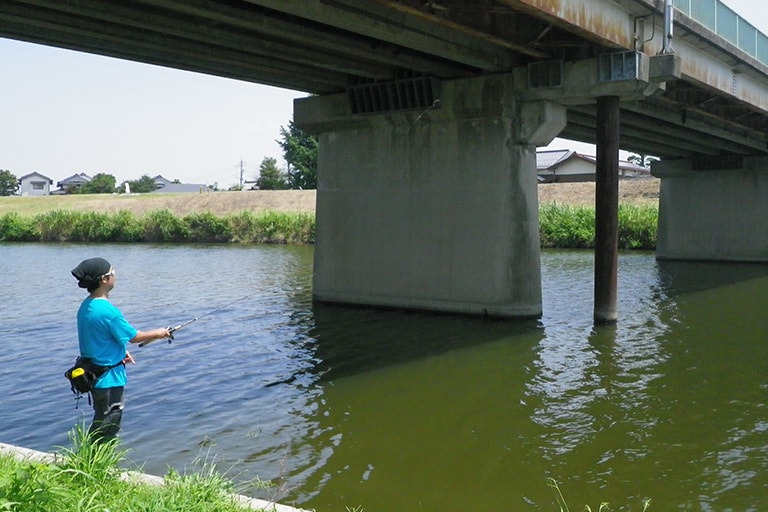釣り場は遠賀川本流下流域だけにあらず。支流に入れば、異なるシチュエーションで釣りを楽しめる。川幅が狭く両岸がナチュラルバンクになっていることが多い（写真は支流の犬鳴川）。夏場は橋周りなどのシェードに魚が溜まりやすい