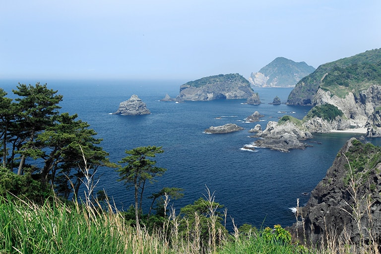 静岡県の伊豆半島はアオリイカ釣りのメッカ。エギングブーム発祥の地のひとつだ