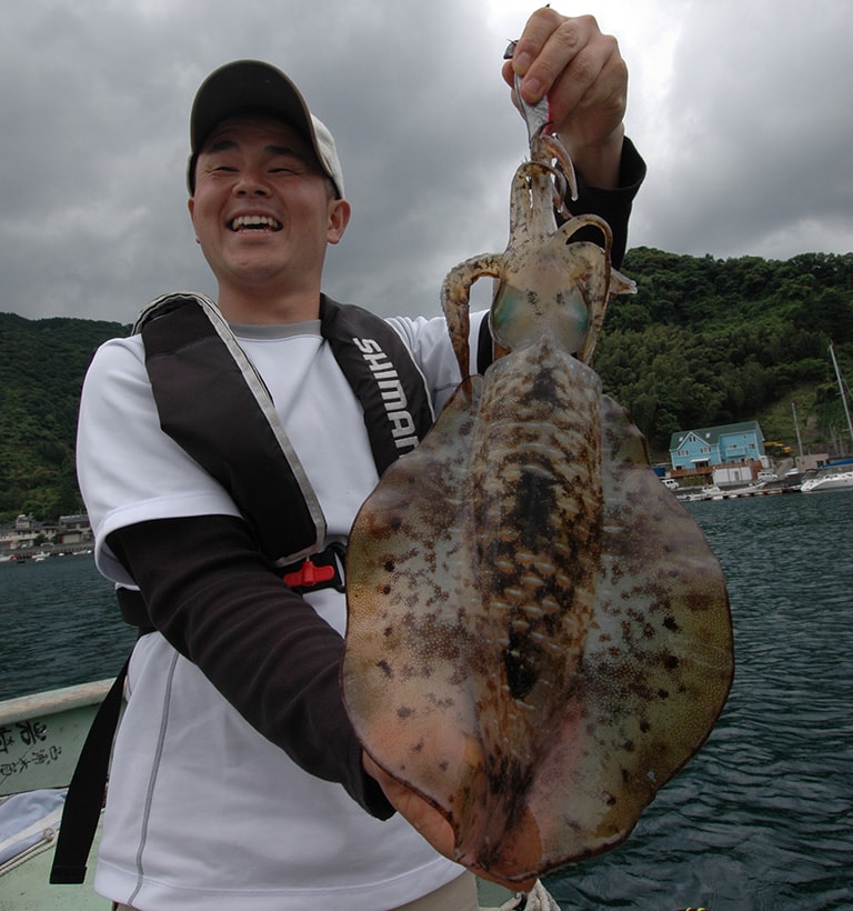 釣ったばかりのアオリイカは身体が透きとおって非常に美しい。大物は引きも強烈だ