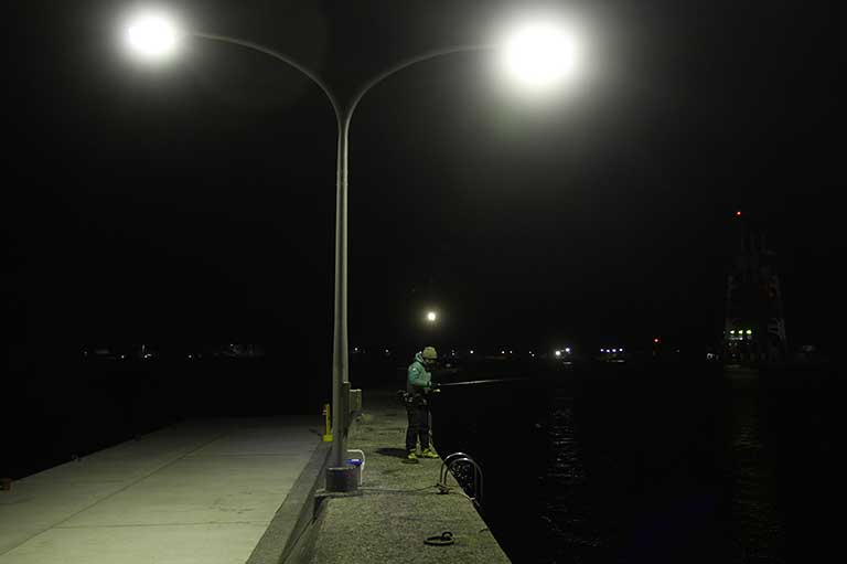 夜の釣場