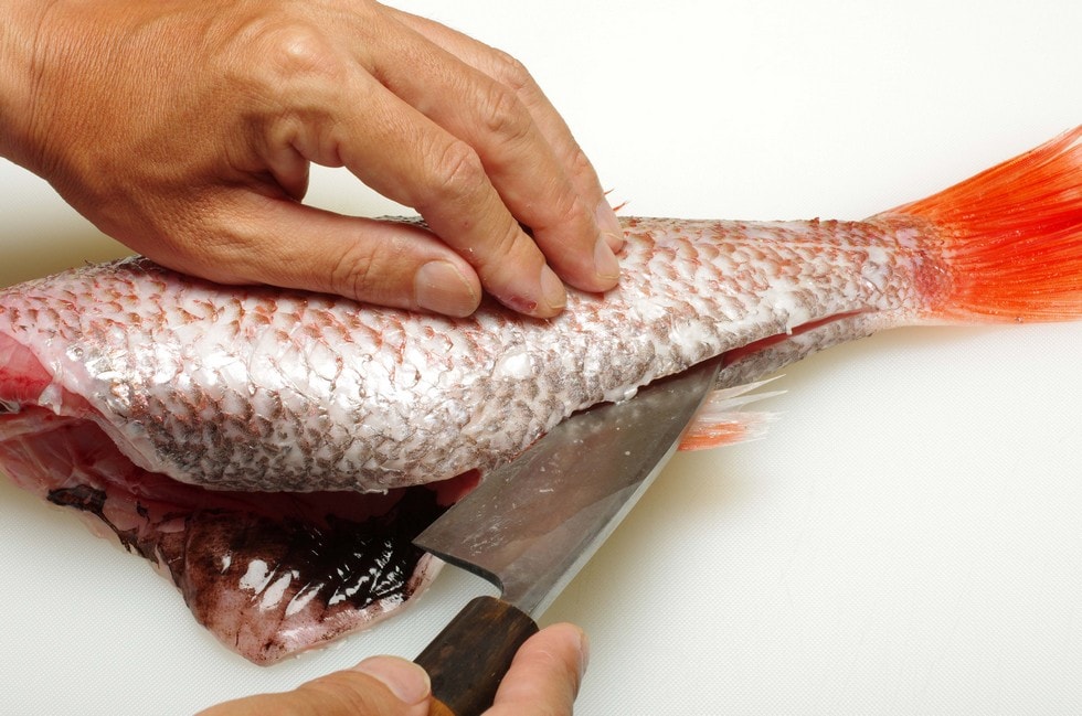 魚の向きを変えたら、腹と尻ビレ側からも中骨に沿って切れ込みを入れる。