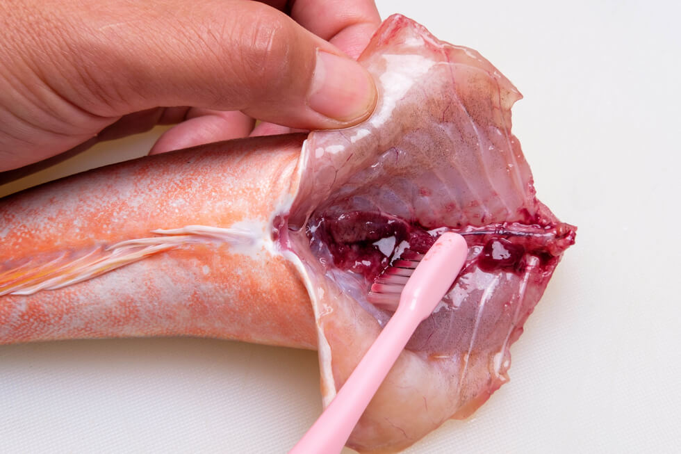 中骨主骨に付着している血ワタを歯ブラシや竹製のササラで掃除して水洗い。煮魚や空揚げなどに調理する時には、この状態から皮付きのまま切り身にすればよい。