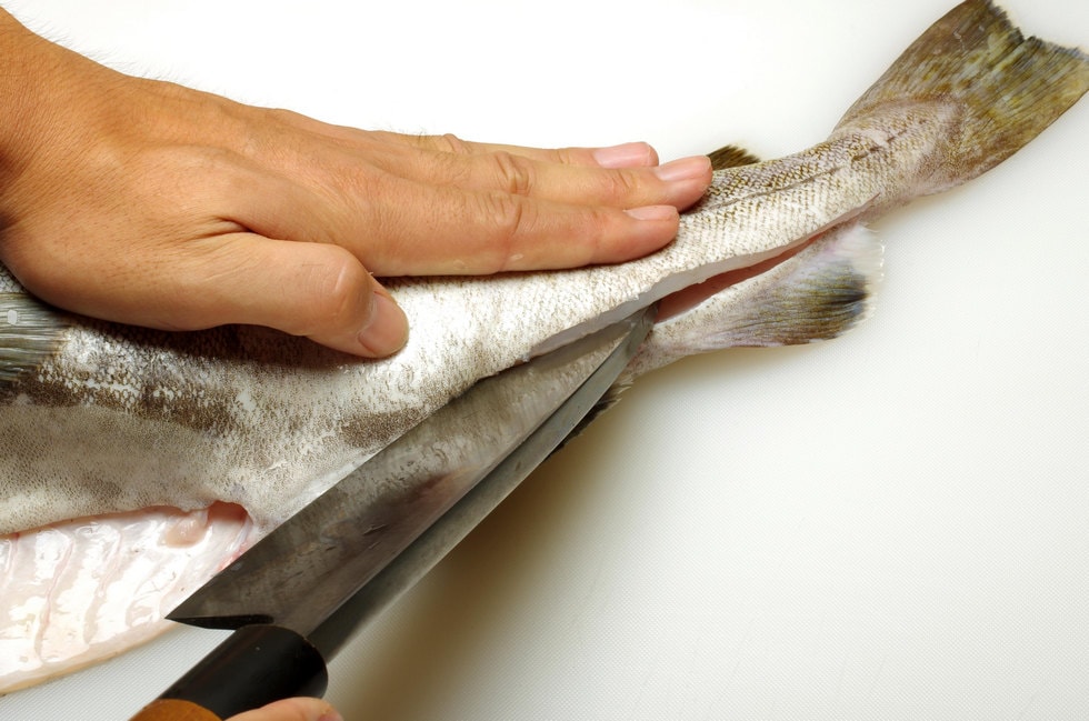 魚を返して、同じ要領で尻ビレに沿って尾の付け根から肛門まで腹身に切れ込みを入れる。