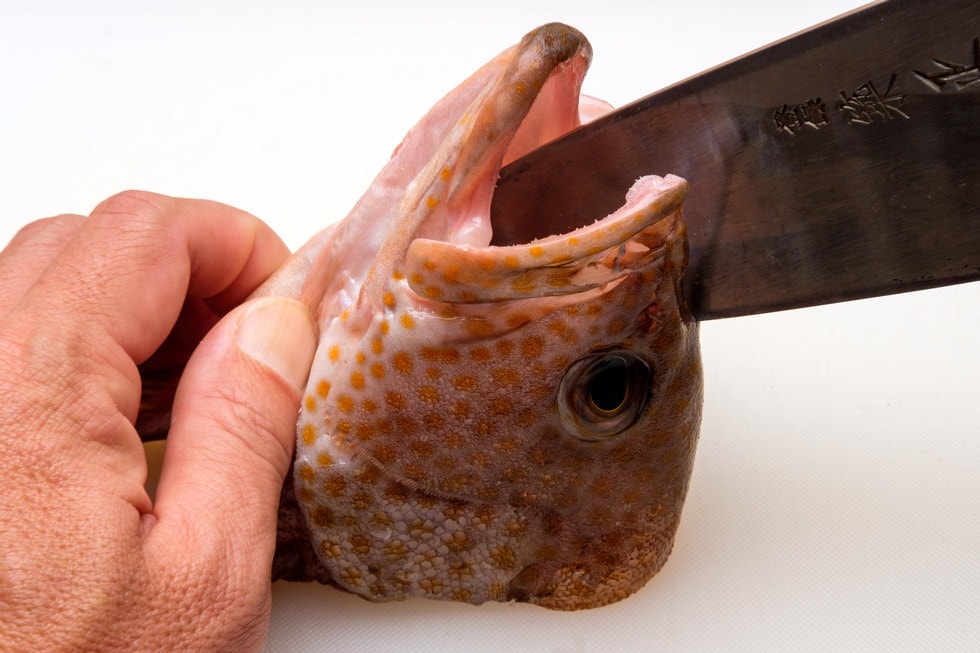 根魚の頭は割って煮るとよいダシが出る。まずは目と目の間の中心をねらって、口の中に包丁の切っ先から滑り込ませるように押し切りで開く。