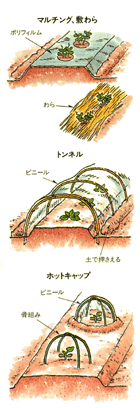 �����ȊǗ����