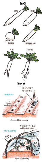 �_�C�R��